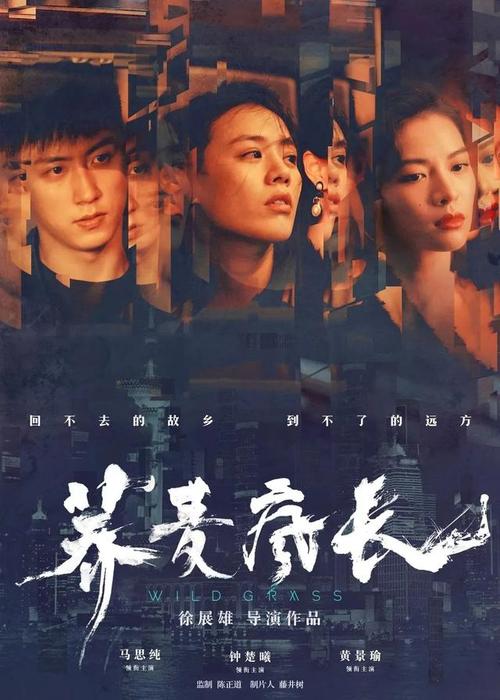 制作新加坡就业准证